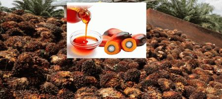 Malaysian palm oil prices rise