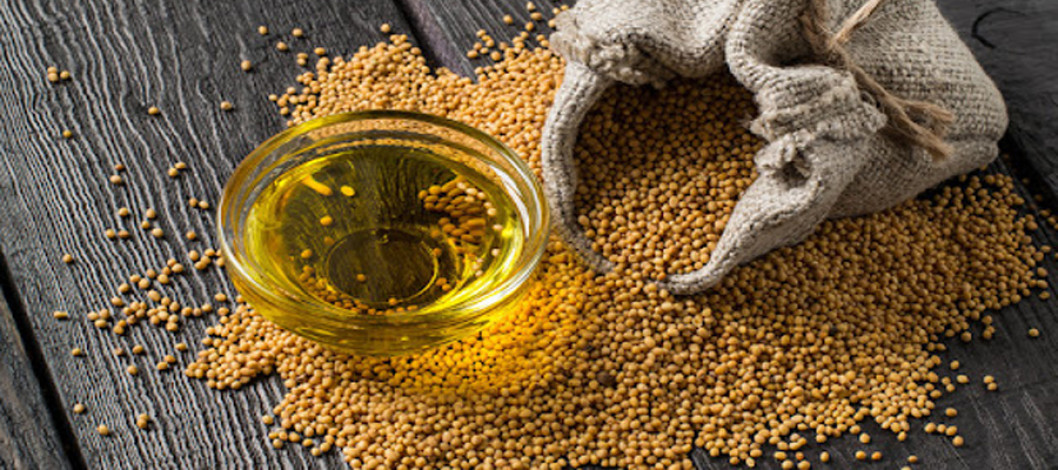 Are you eating pure mustard oil?