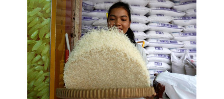 Cambodia earns $209 million from rice exports in the first 4 months