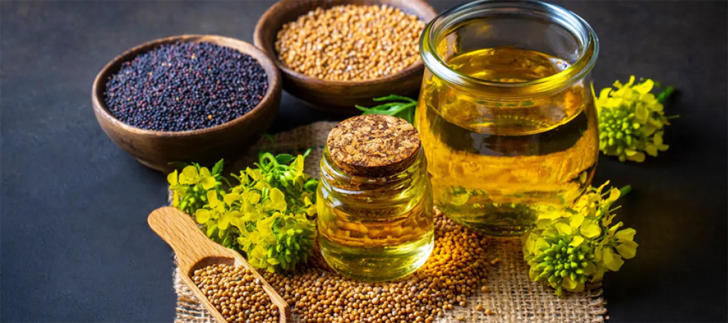 Mustard oil market size in Bangladesh