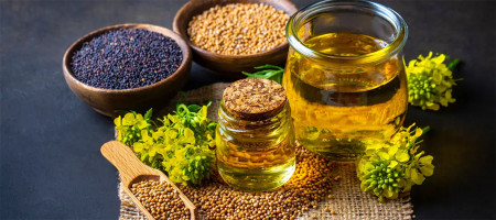 Mustard oil market size in Bangladesh