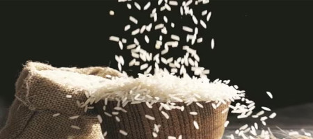 Global rice production forecast for 2024/25 rises to a record high