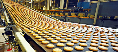 What is a food processing system?