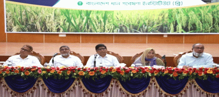 Local rice innovation program making progress: BRRI