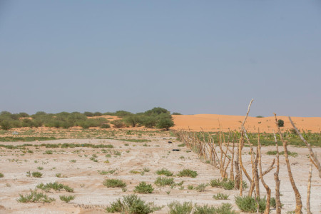 FAO study reveals alarming agricultural land degradation in the Arab region