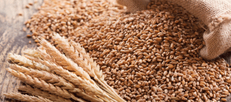 Global wheat price commentary