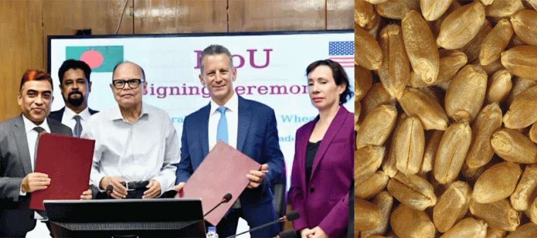 Bangladesh to buy 700,000 tons of wheat from the US annually