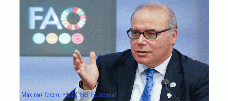 Beating hunger through social protection, investments, and resilience: FAO Chief Economist