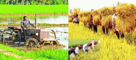 How precision agriculture can transform Bangladesh
