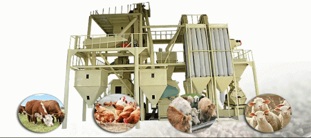 The best solution for livestock feed production