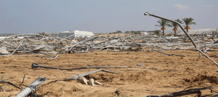Gaza Strip: 98.5 percent of cropland unavailable for cultivation as famine looms