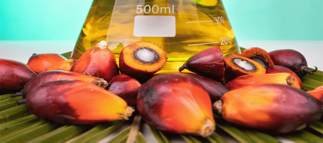 India's palm oil imports rise 16% in August to 13-month high