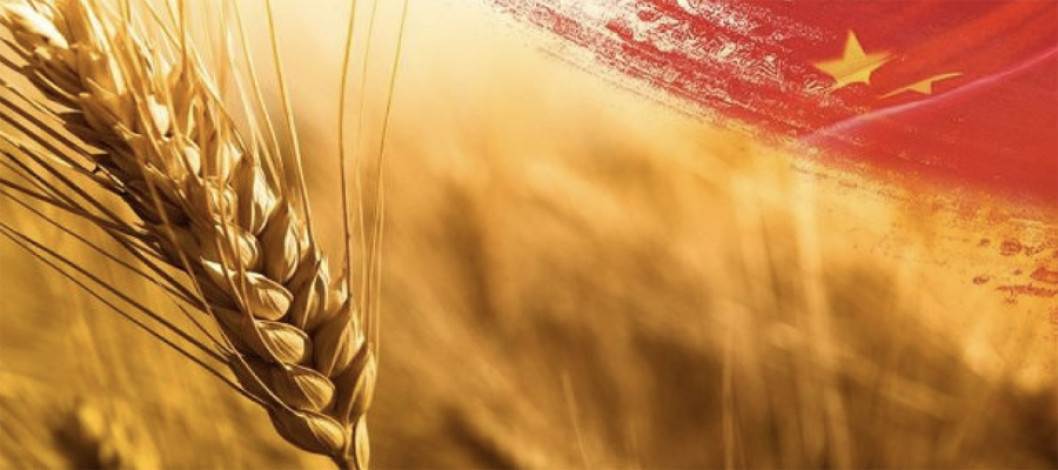 Wheat for Chinese cars? Russia turns to barter to avoid sanctions