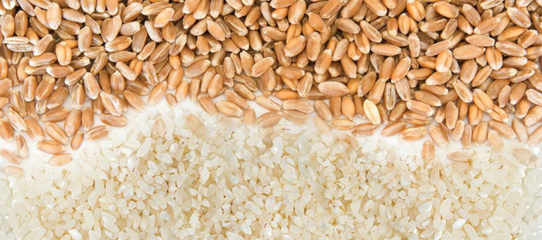 India's rice stocks hit record, wheat at four-year high