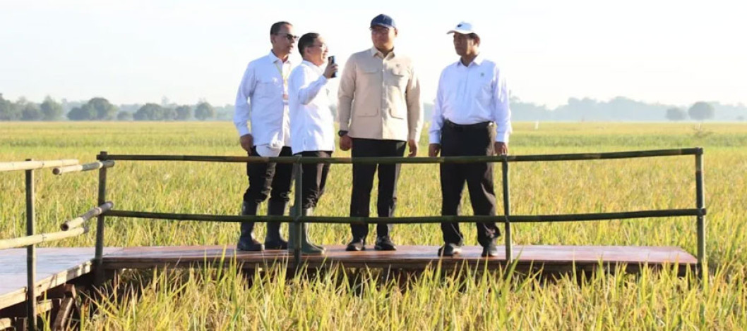 Indonesia is close to rice self-sufficiency despite the production increase