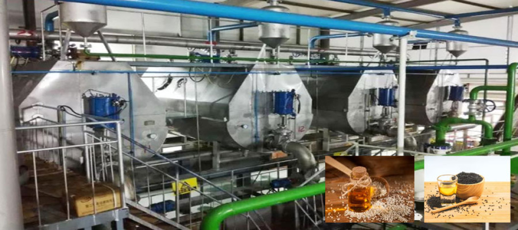 Set Up a Sesame Oil Production Plant