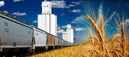 Bangladesh approves US wheat imports in hopes of easing trade tensions