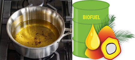 Used cooking oil is a potential green gold mine in the growing biofuels market