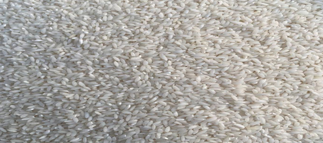 Fragrant rice export deadline extended to November 30