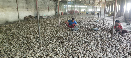 The farmer gets only 68 paisa after selling one kilogram of potatoes
