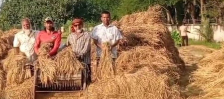 A target of 8.5 lakh tonnes of Aman paddy production has been set in Khulna region
