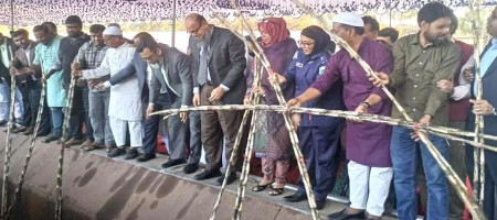 Sugarcane threshing begins at Rajshahi Sugar Mill