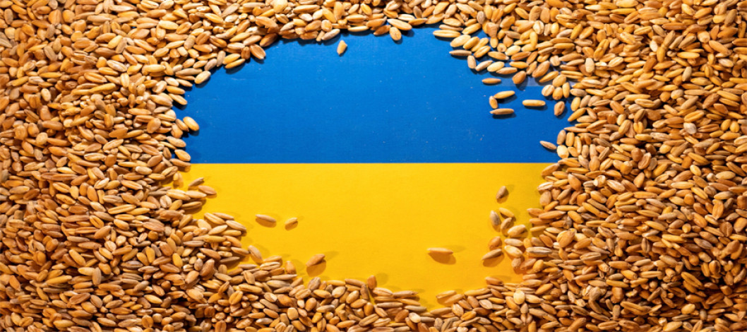 Ukrainian wheat prices fall due to increased global supply: food wheat loses $5-6 per ton