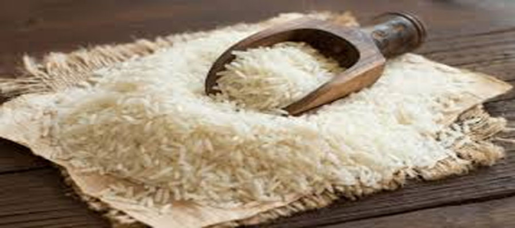 TK Group invests hundreds of crores of taka in Ricemill