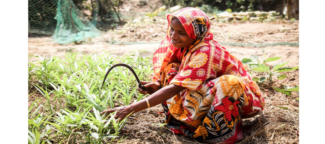 FAO-led projects to make agriculture resilient and sustainable in support of 1 million people
