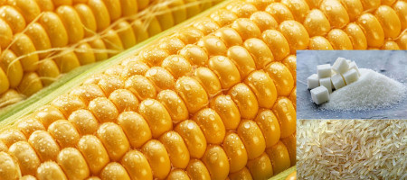 Indonesia to stop importing corn, rice and sugar in 2026