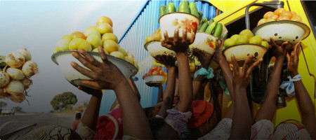 Technical Platform on the Measurement and Reduction of Food Loss and Waste (TPFLW)