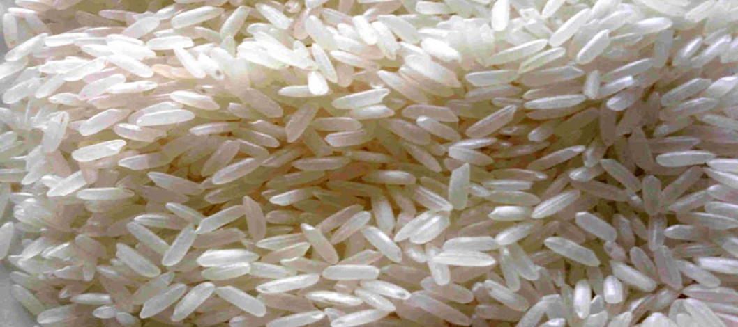 There's a grim truth behind Pakistan's growing rice exports