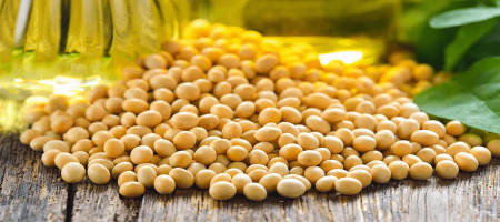 India cancels more South American soy oil cargoes due to rupee depreciation