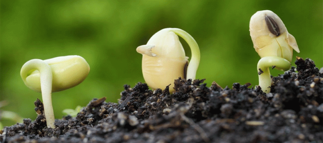 Vietnam’s food system shows strong foundations in access and supply