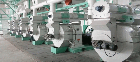 How To Construct High Quality Complete Animal Feed Mill Plant Engineering?