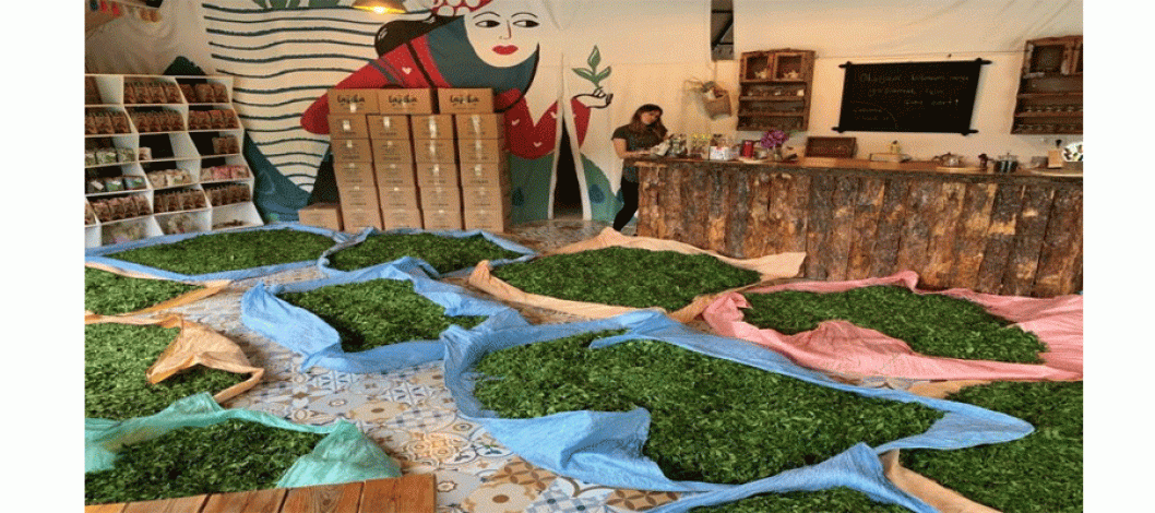 Tea in Turkey and All-New International Education