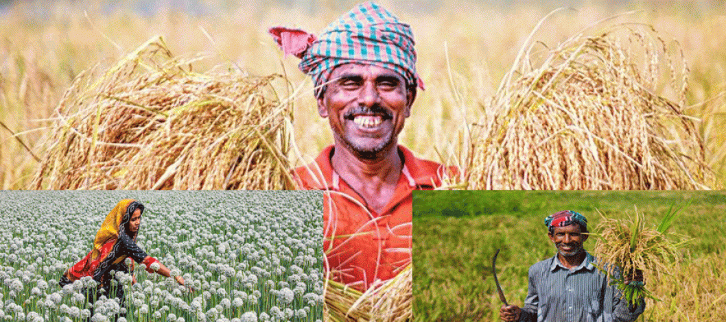 New agricultural loan fund of Tk 10,000 crore, interest rate 8%