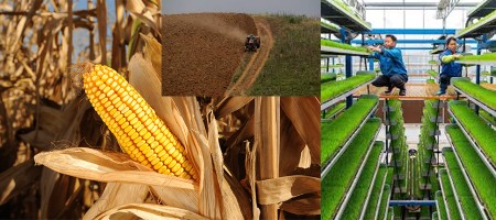 A Feature on Agriculture in Thailand