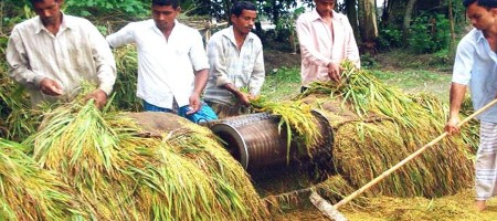 Record 23.09-lakh tonnes of clean Boro rice produced in Rangpur region