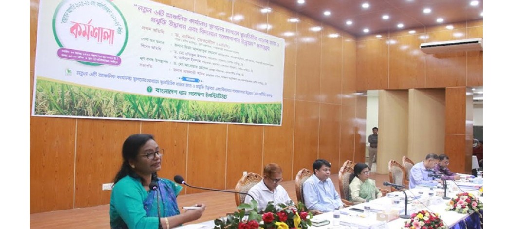 BRRI develops 3 paddy varieties thru LSTD project