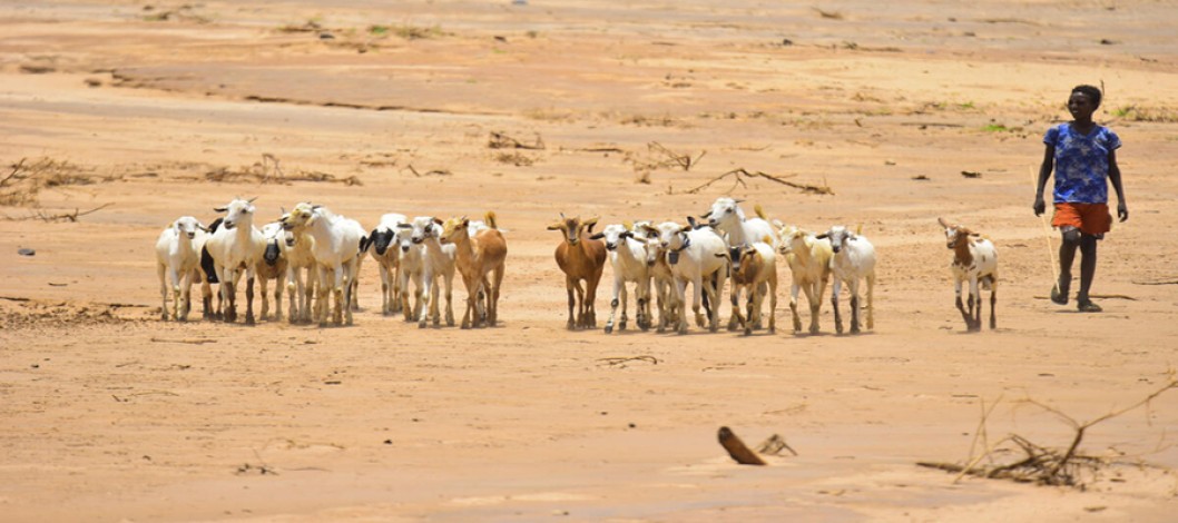 El Niño is coming. Here is where the risks to agriculture are highest