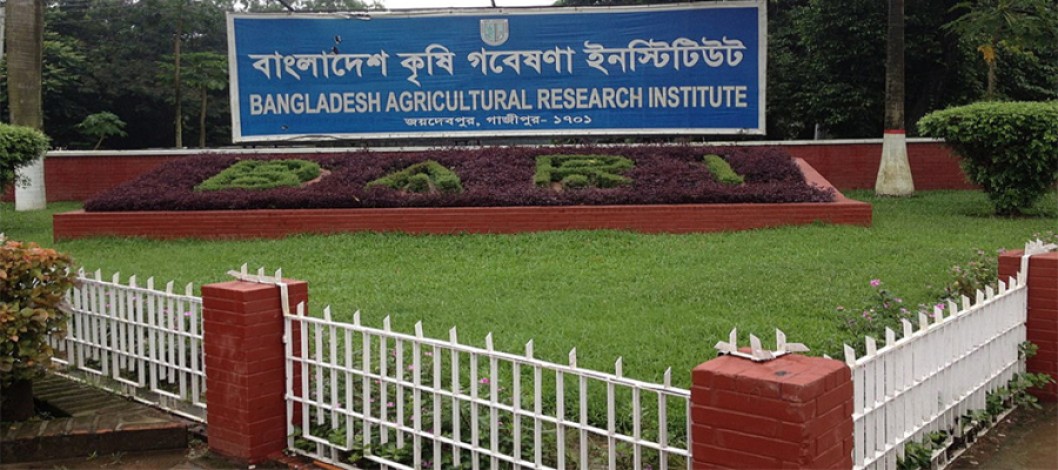 BARI research brings new hope for coastal fruit cultivation