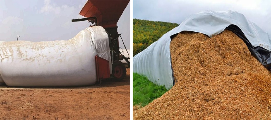 An exclusive report on silo Bag of Argentina