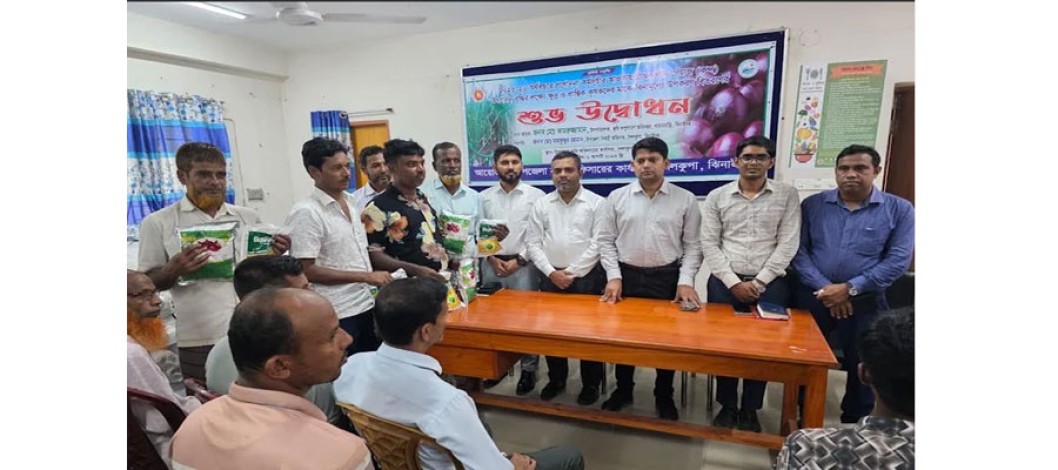 Onion seeds distributed among 3,000 farmers in Jhenaidah