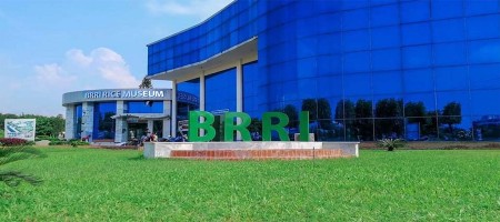 BRRI holds seminar on 'Nitrogen Management in South Asian Agriculture'