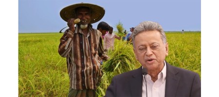 Agricultural loans of 1.4 million farmers, including interest, waived off