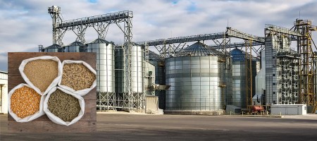 What do you know about Smarter Testing for a Stronger Feed Industry