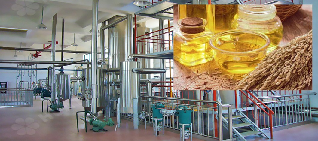 What Problems Should Be Avoided When Buying Rice Bran Oil Refining Equipment?