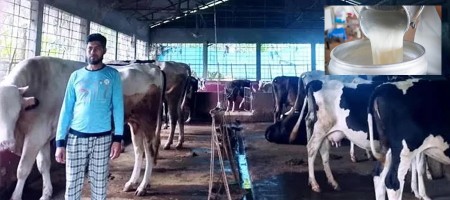 How is Dinajpur's 'Dairy Village' doing?