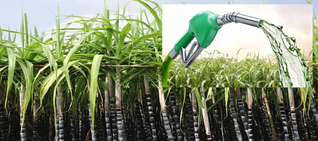 Indonesia to increase biofuel production from sugarcane